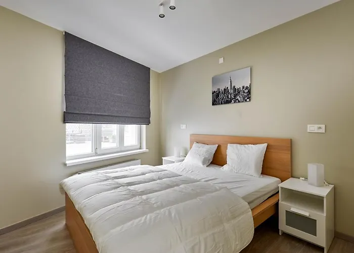 Westraat 114 Tatil Evi Blankenberge